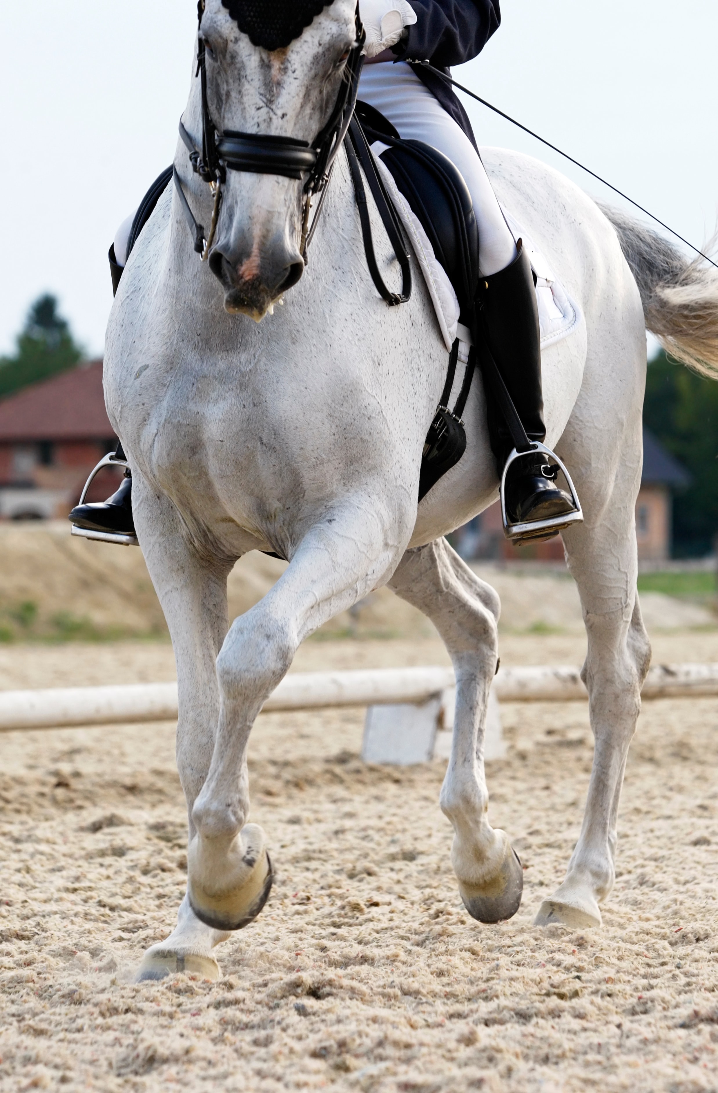 Image for Det nærmer seg dressurstevne - Her er bakeliste, kioskvakter og vaktliste Øvrevoll